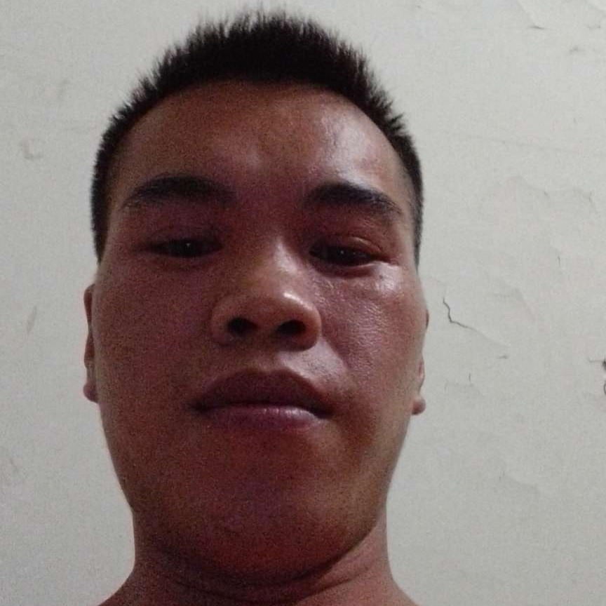 孤独的一只鸟的照片