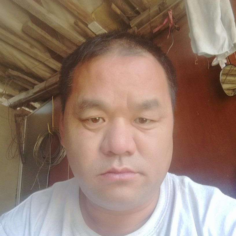 活力冥王星的照片