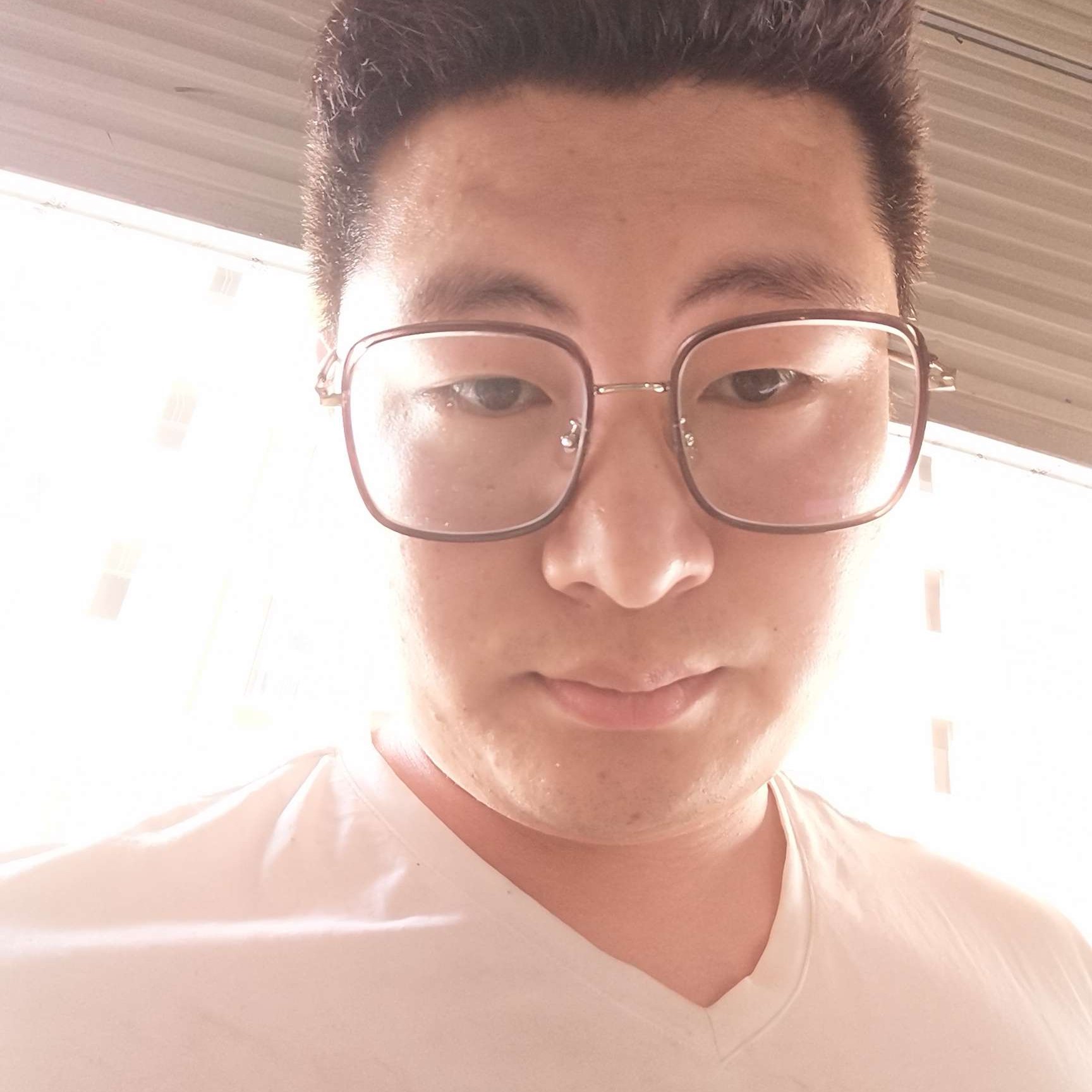 犀牛最后的的照片
