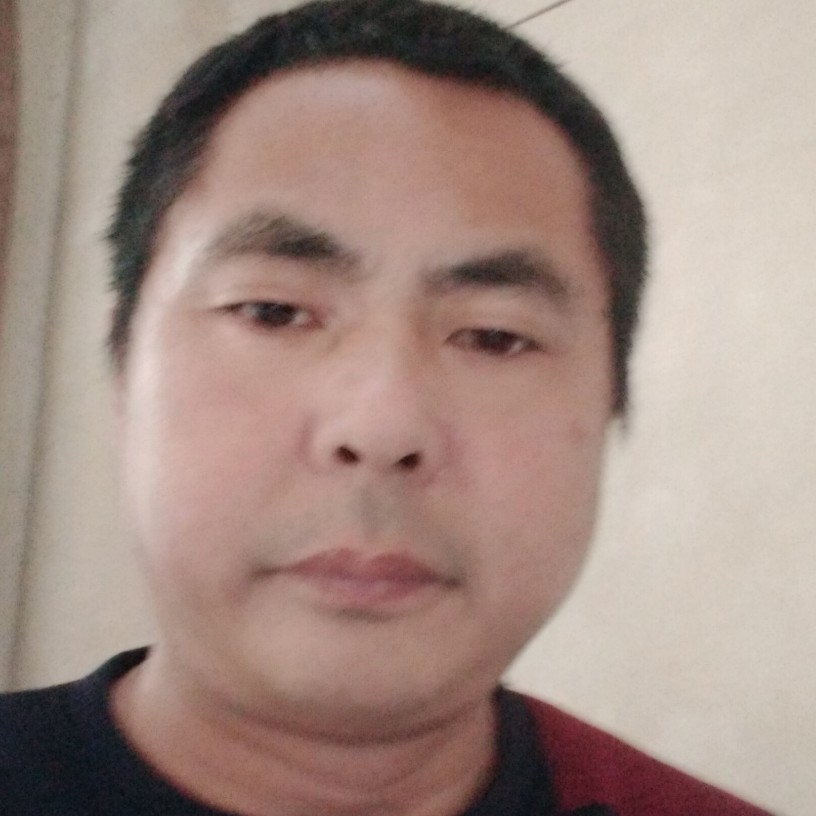 胡萝卜等待孤單的照片