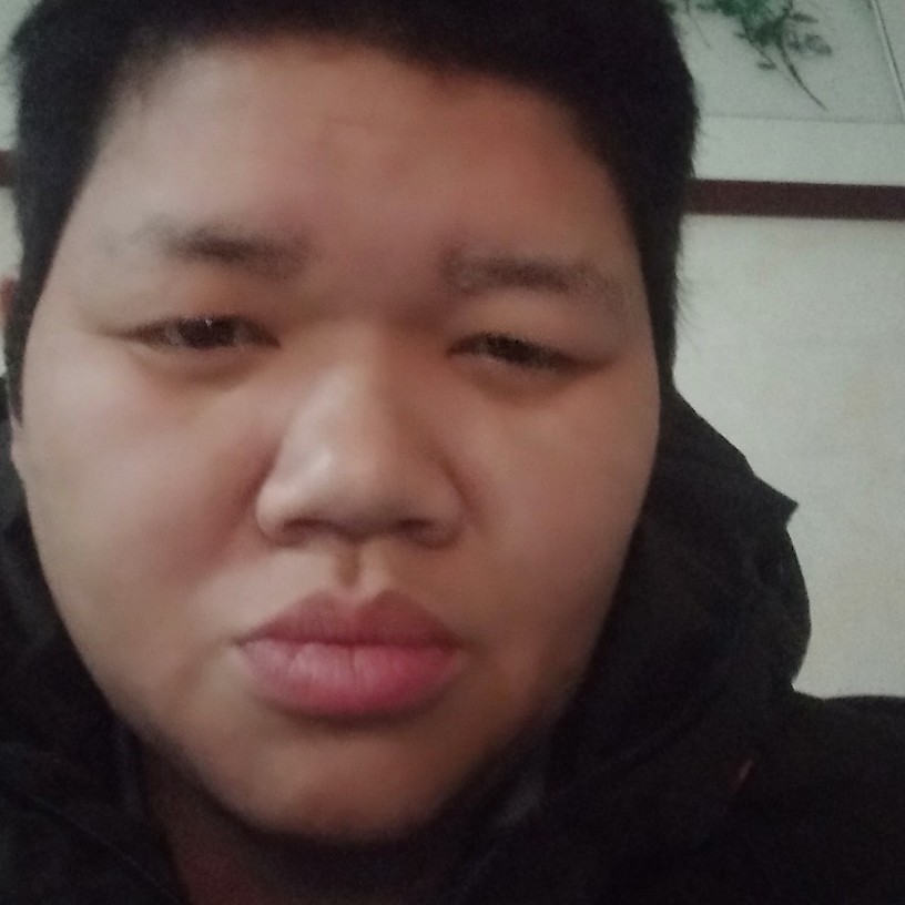 长颈鹿深拥满意的照片