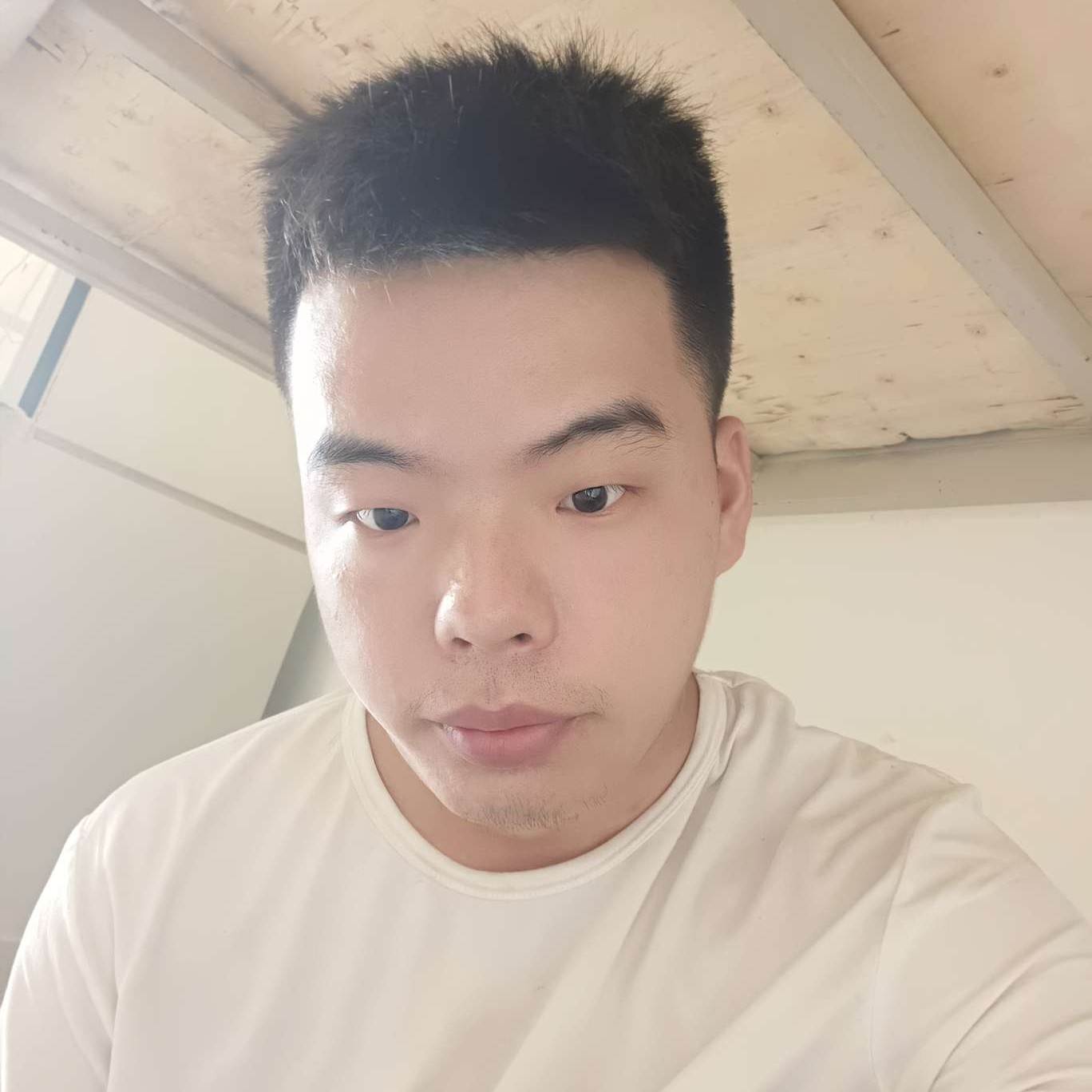 健壮漫步薯片的照片
