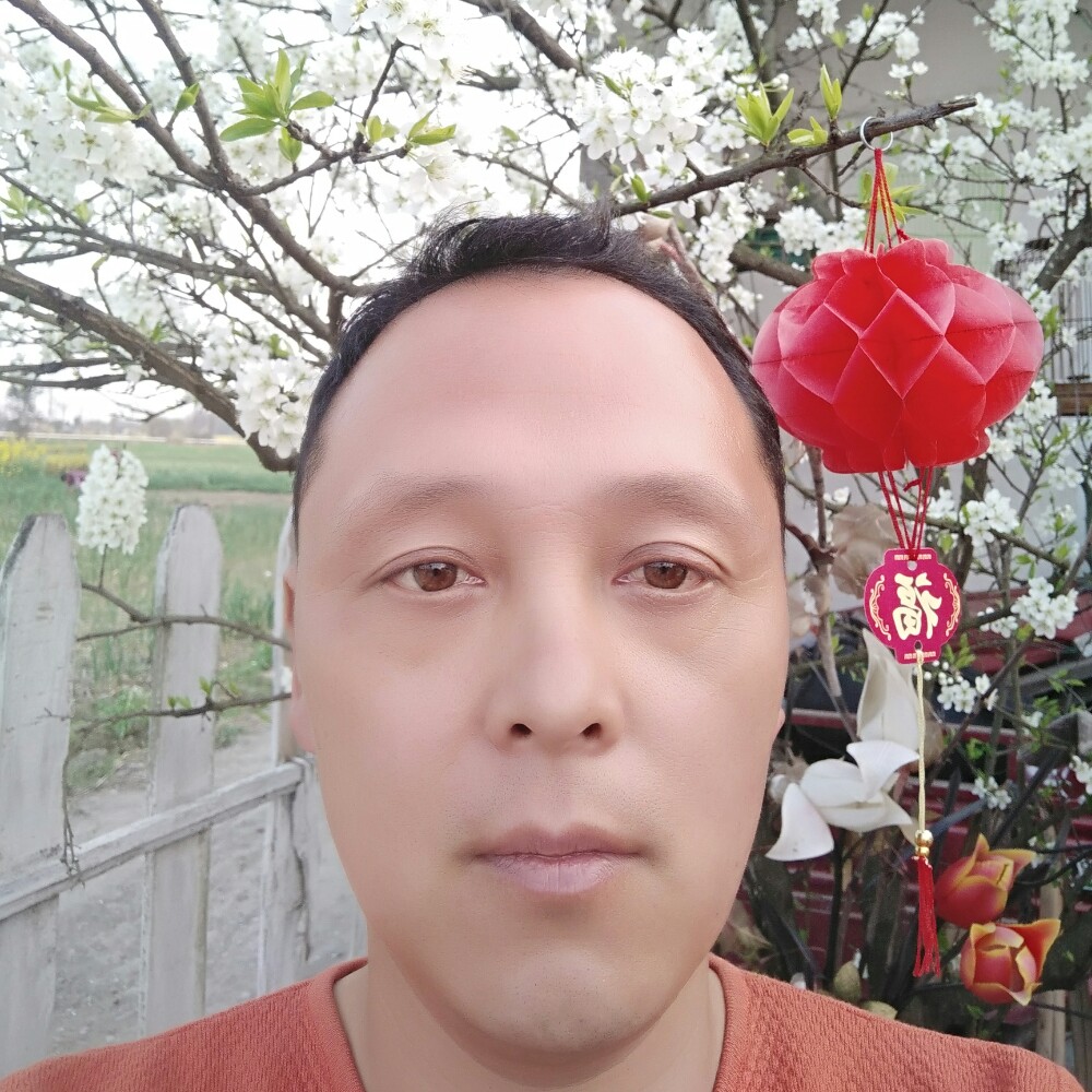 纸鹤用花痴的照片
