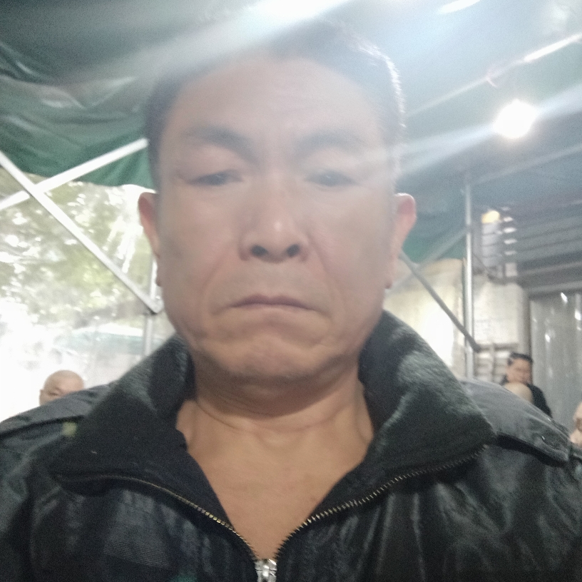 孤独骏马的照片