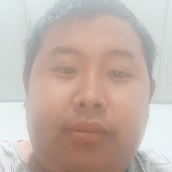 蜗牛迅速的照片