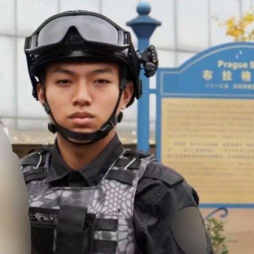 砺剑.龙炎的照片