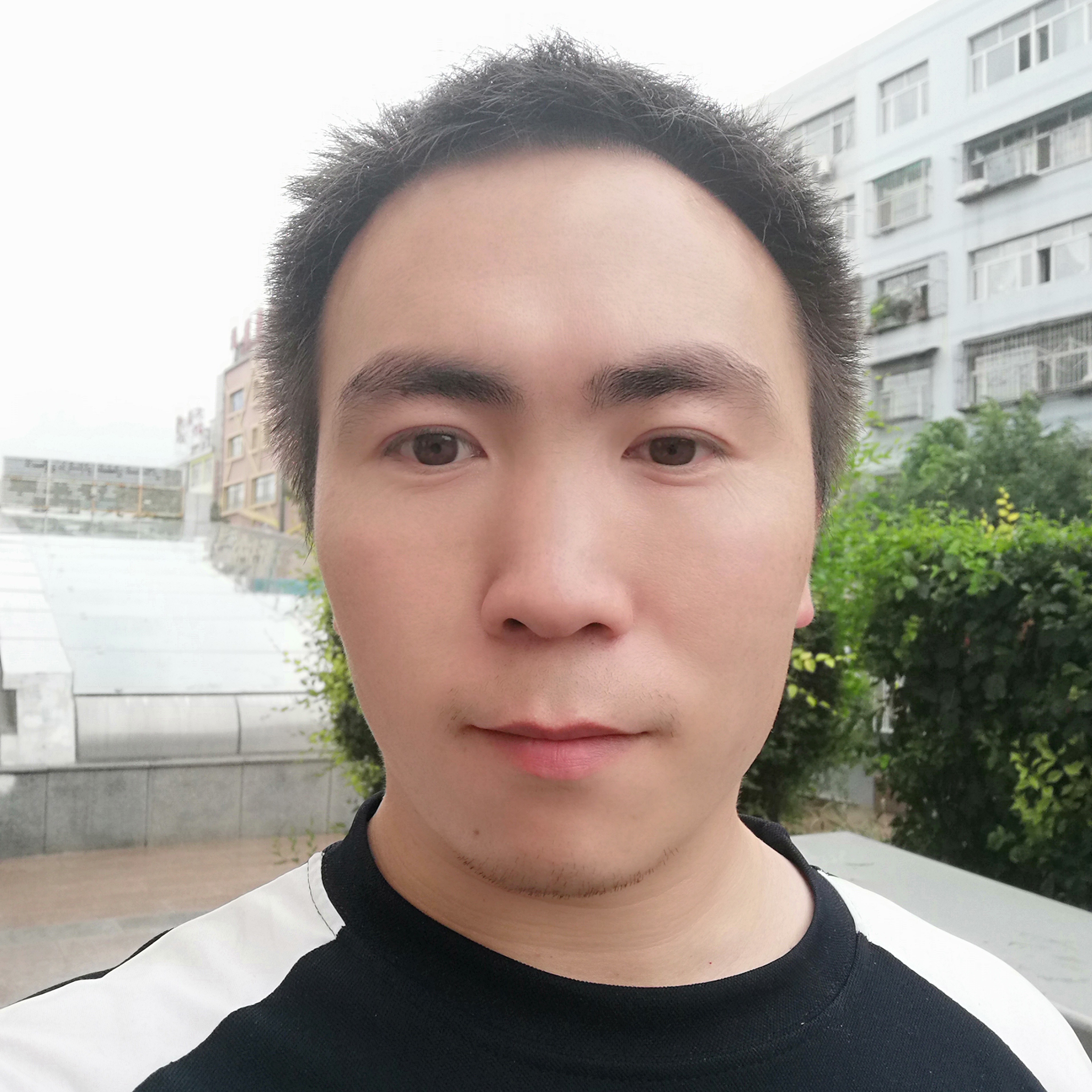 糊涂放弃太阳的照片