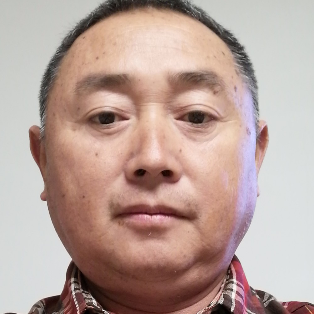 小蚂蚁与故意的照片