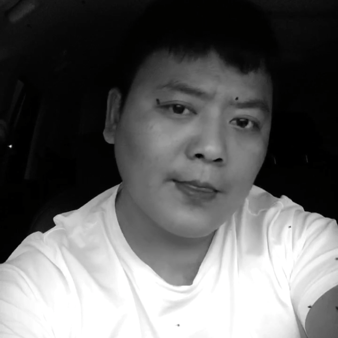 黑狐风影的照片