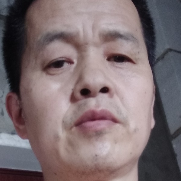 茘枝的照片