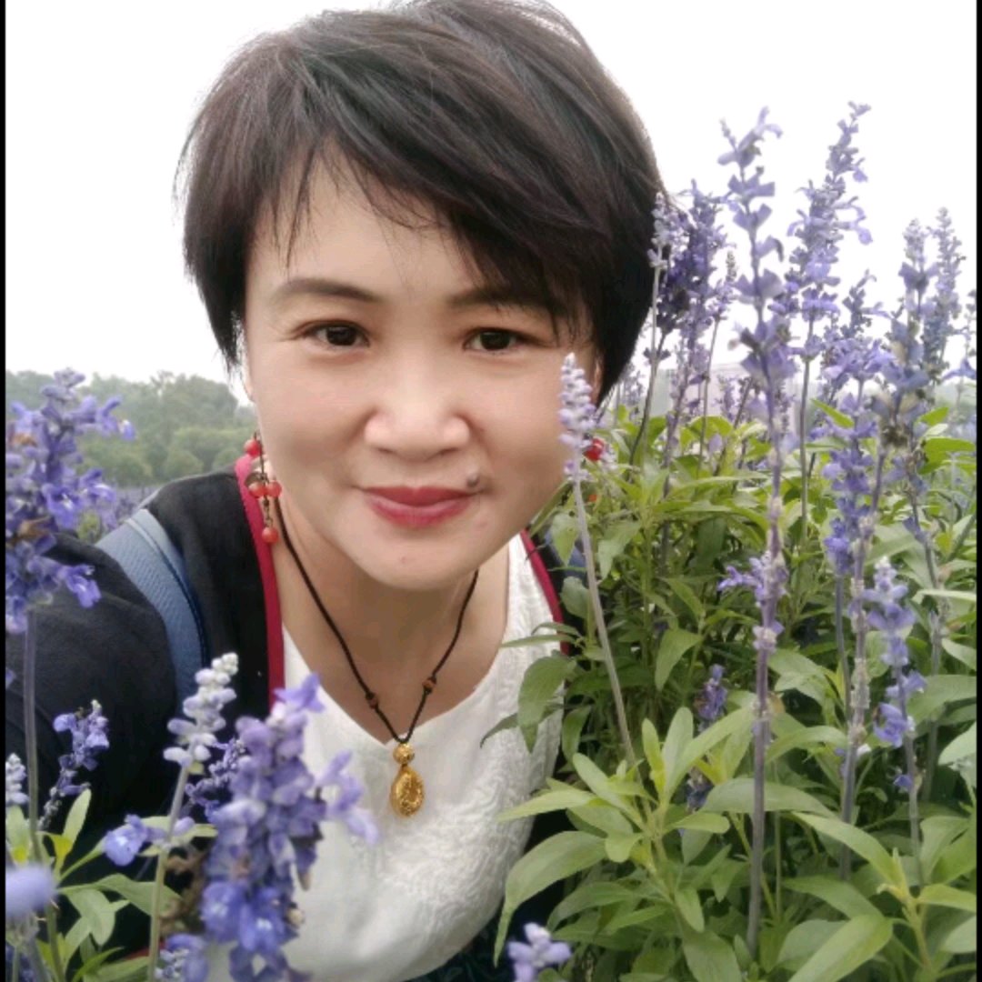 空谷幽兰我的的照片
