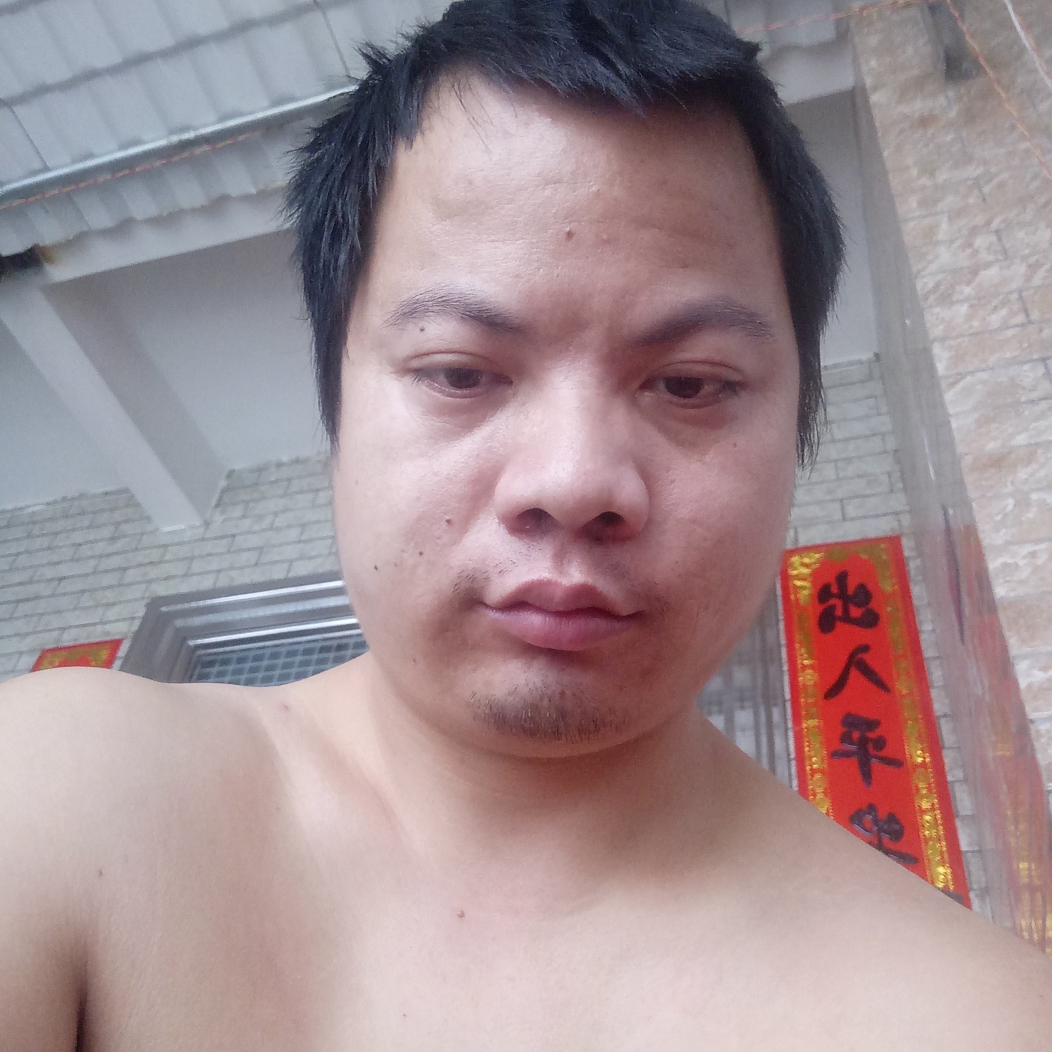 小巧蹁跹断夏的照片