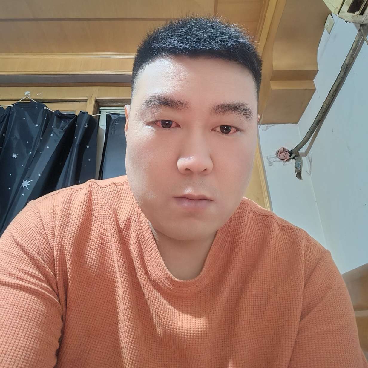 孤独的烟花的照片
