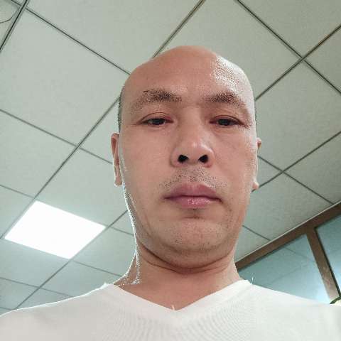 活泼回首青花的照片