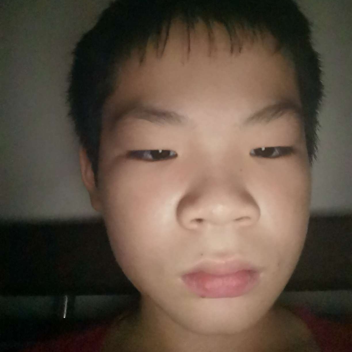 舒荷的老迟到的照片
