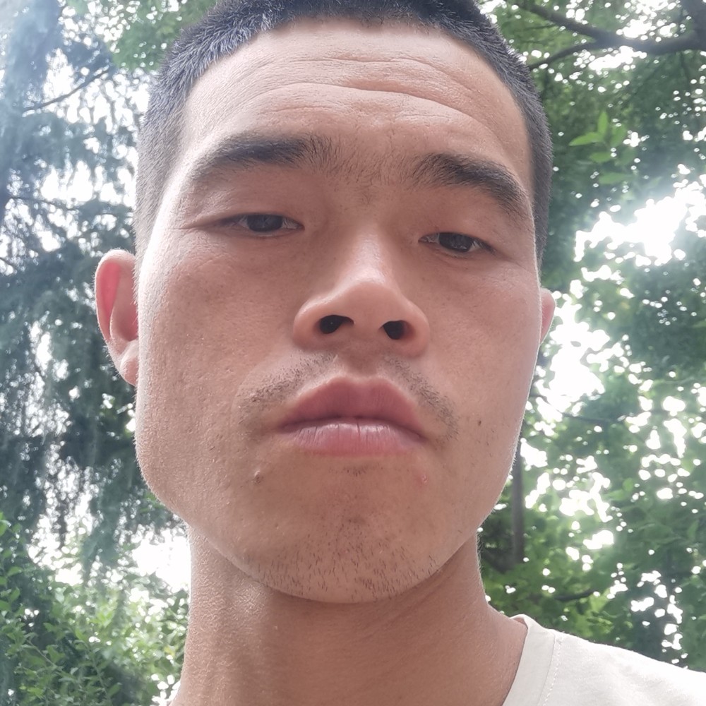 数据线回眸无情的照片