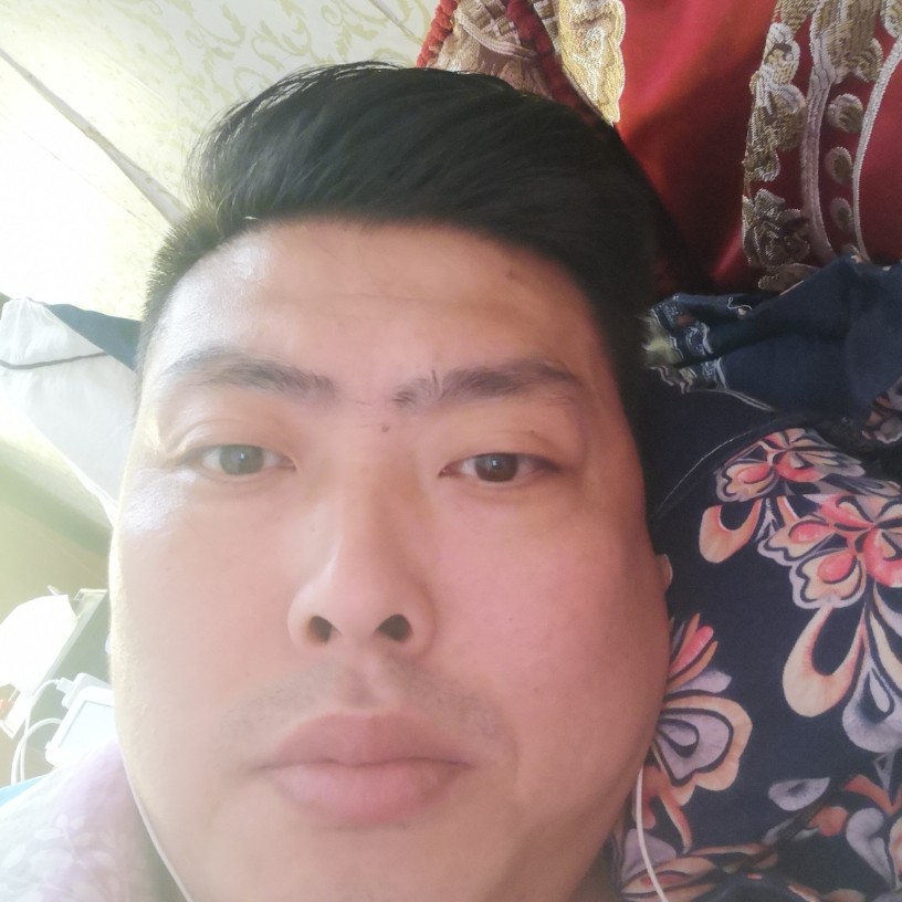 胡萝卜那花痴的照片
