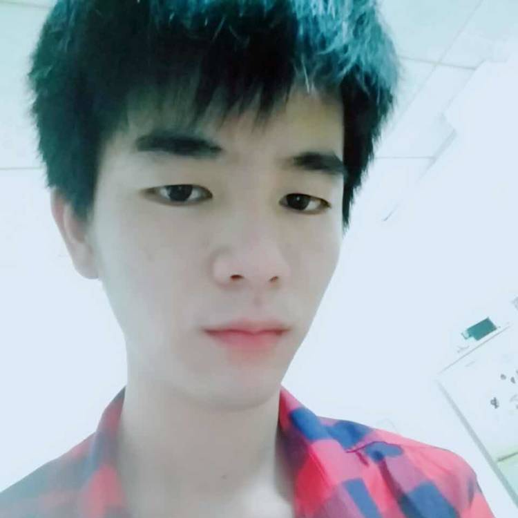 烂漫深拥浮光的照片