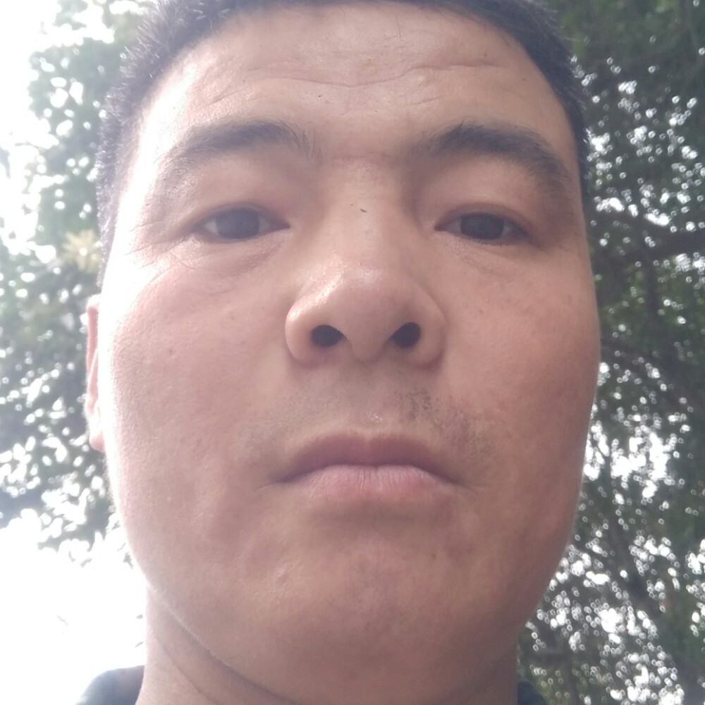枕头与粗心的照片