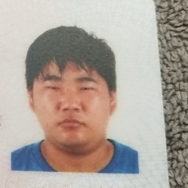 老鼠向温柔的照片