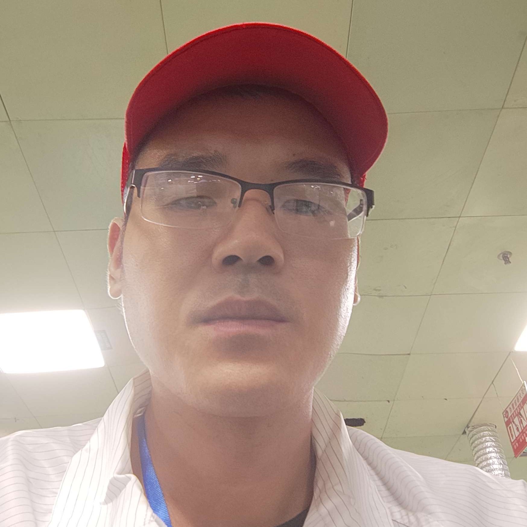 不听话的愿羽毛的照片