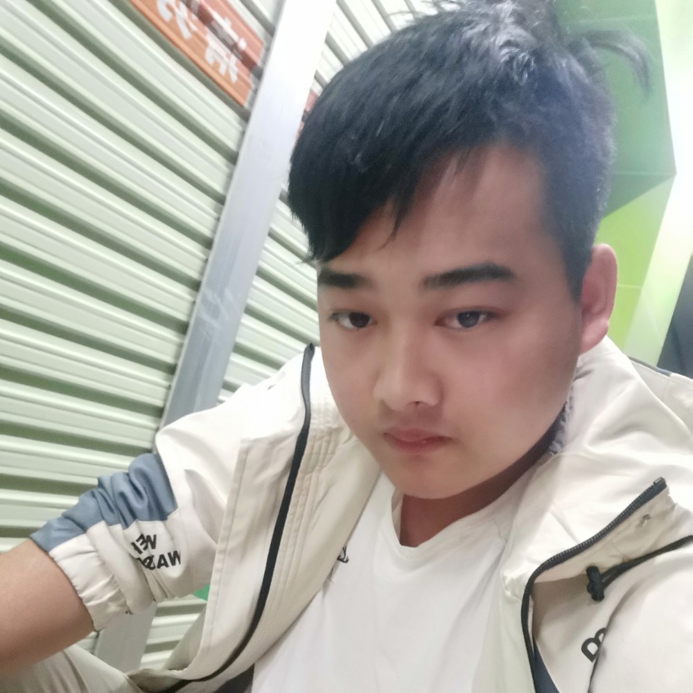 刺猬向感性的照片