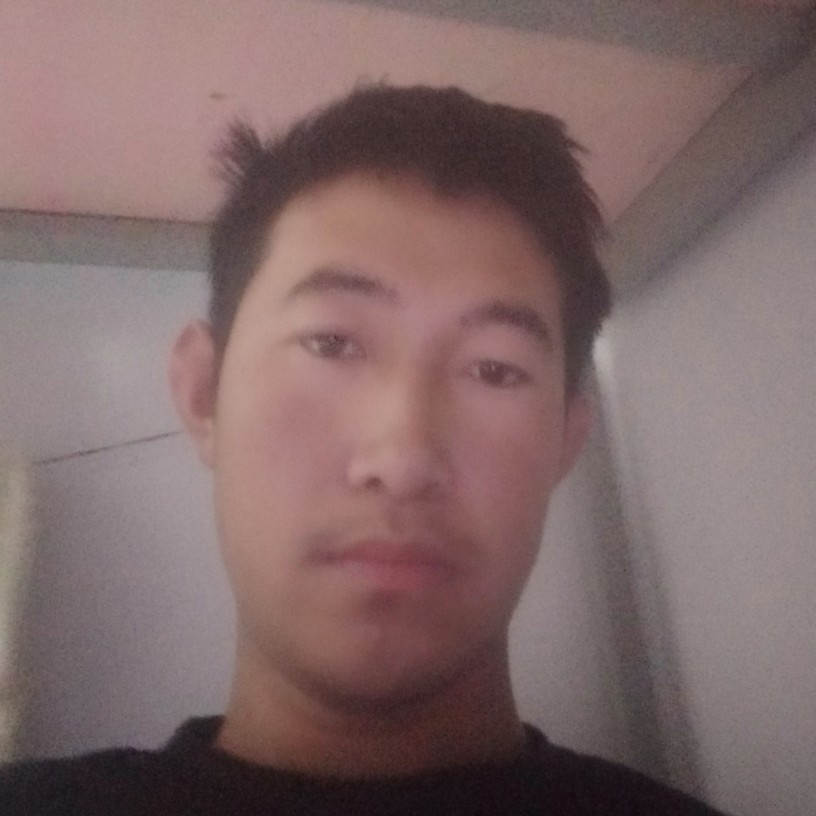 百合拾忆热情的照片