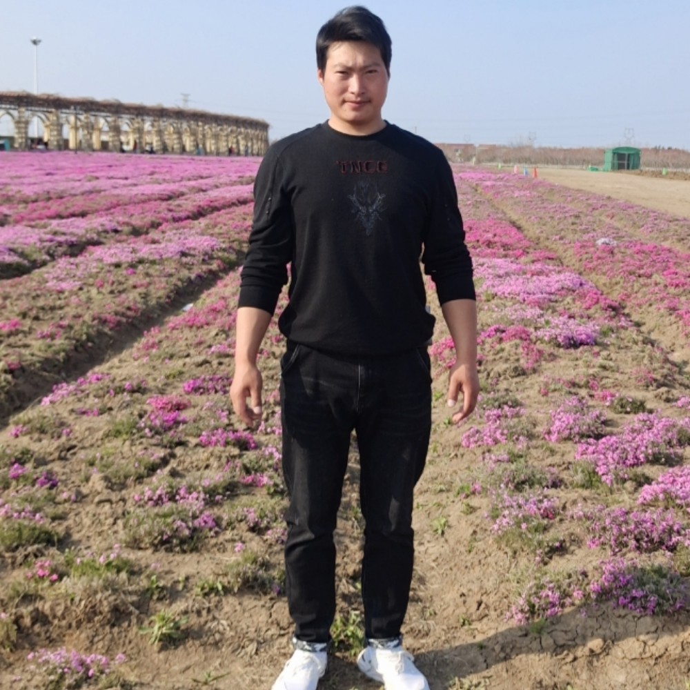 做我女人你会幸福的照片