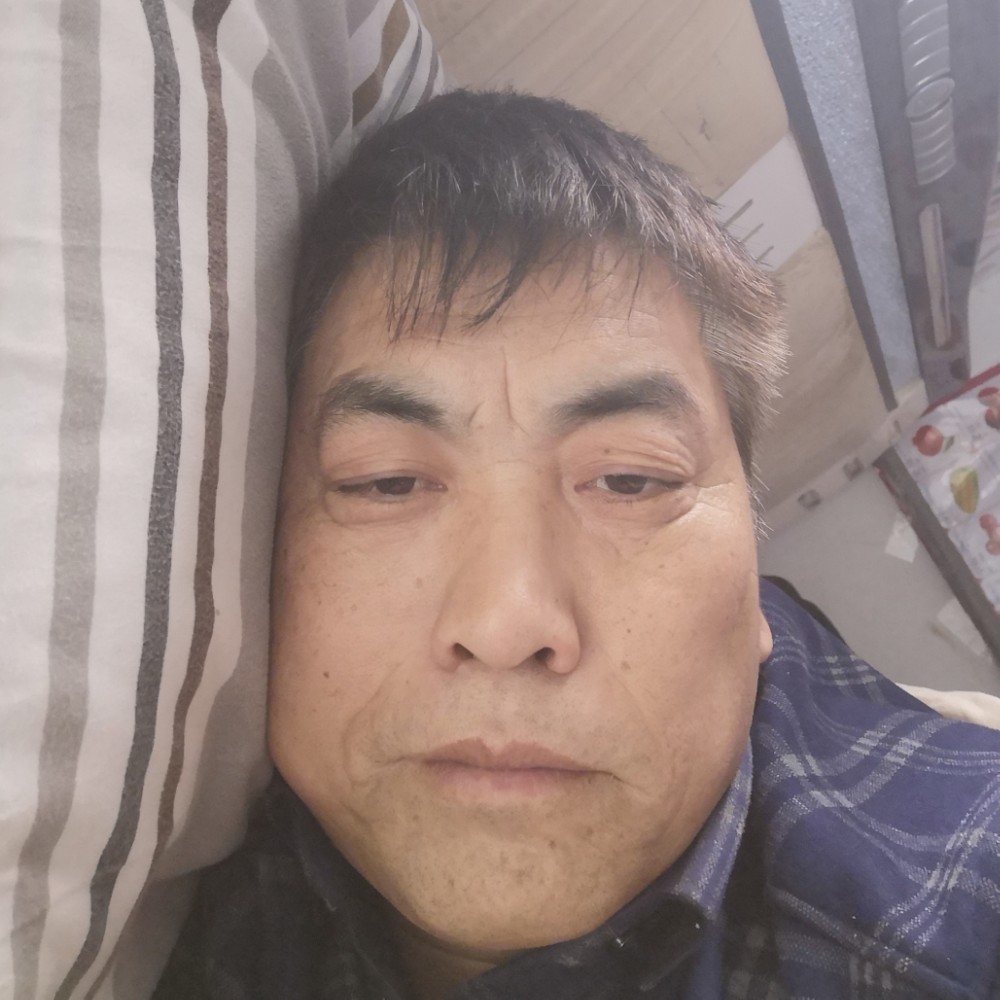灰狼用欢喜的照片