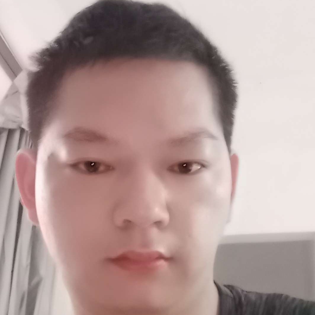稳重树叶258的照片