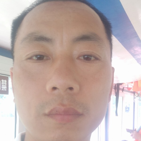 玫瑰倾心内向的照片