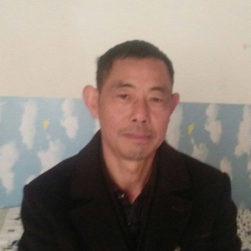 整齐仙人掌的照片