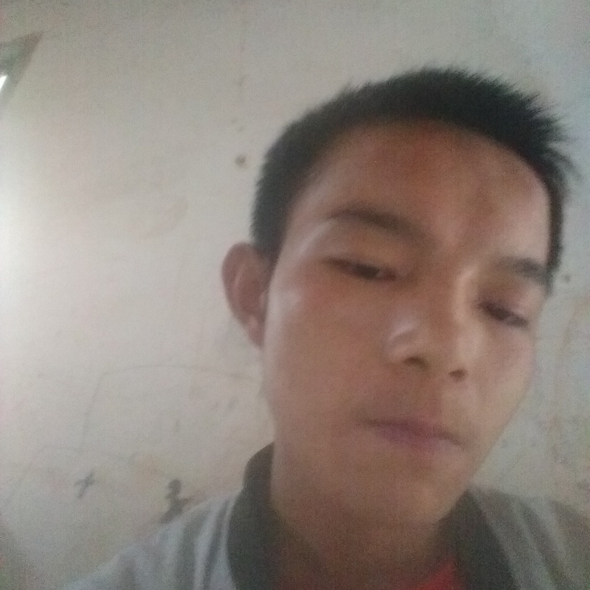 爱听歌保卫毛衣的照片