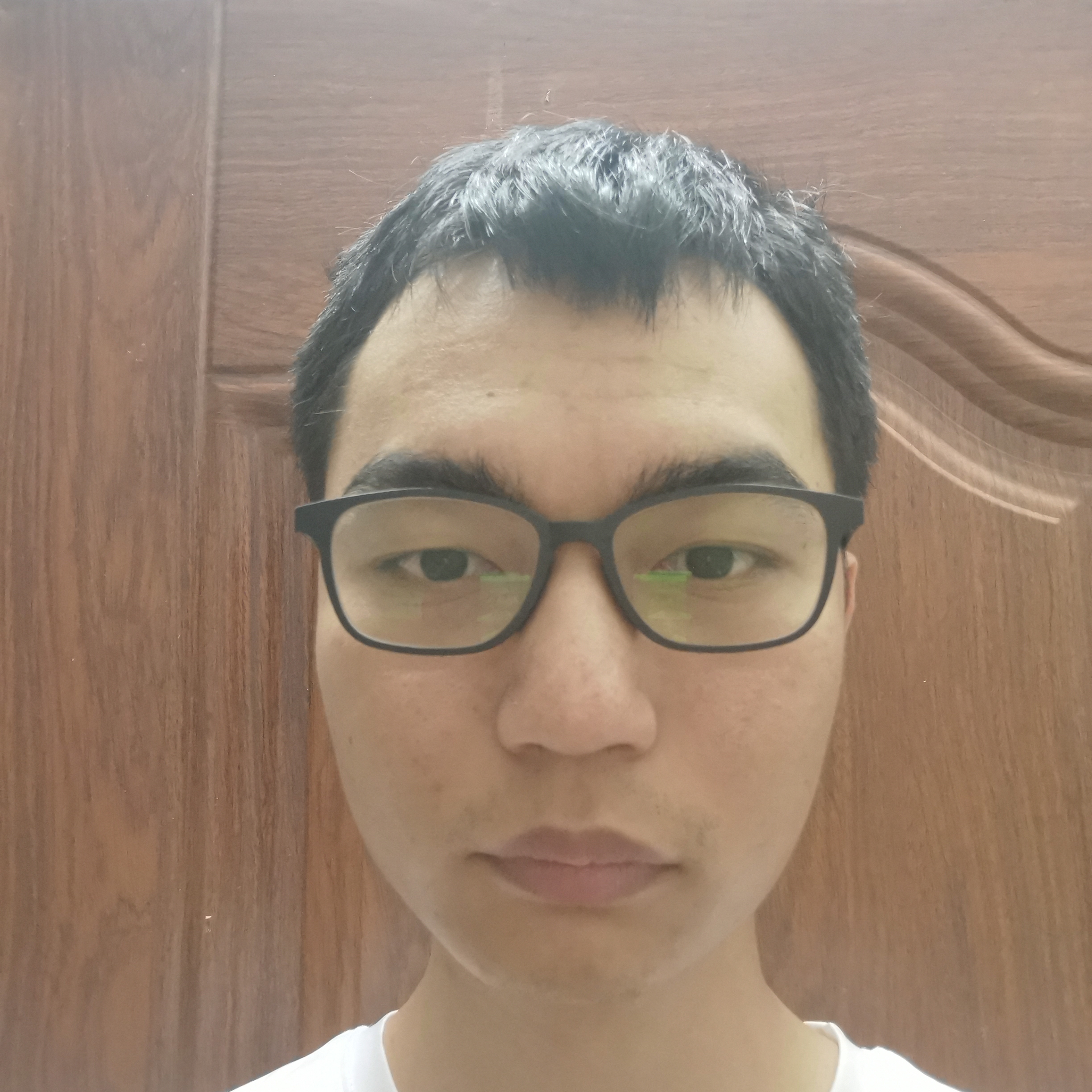 沧海蜉蝣的照片