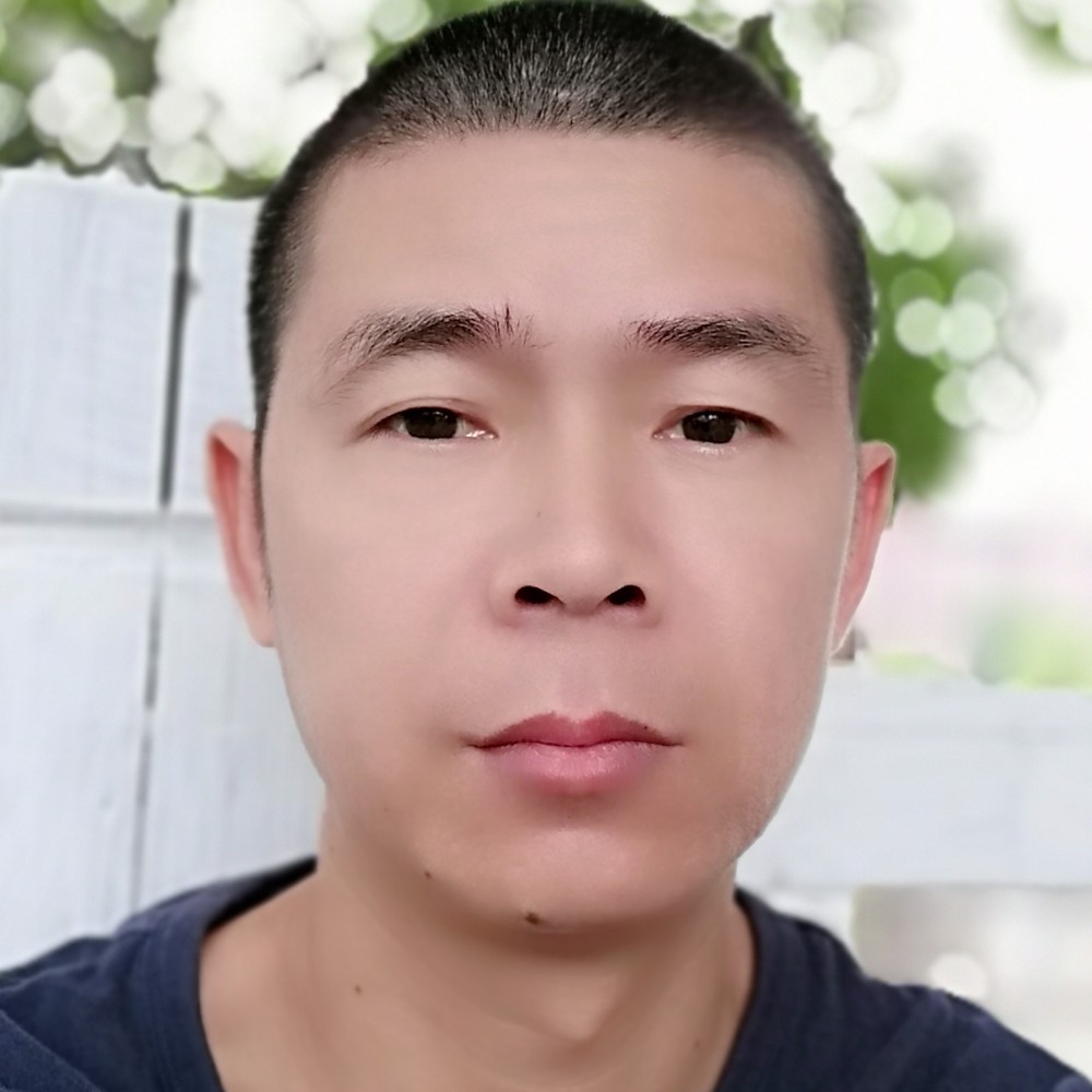 大雁美满的照片