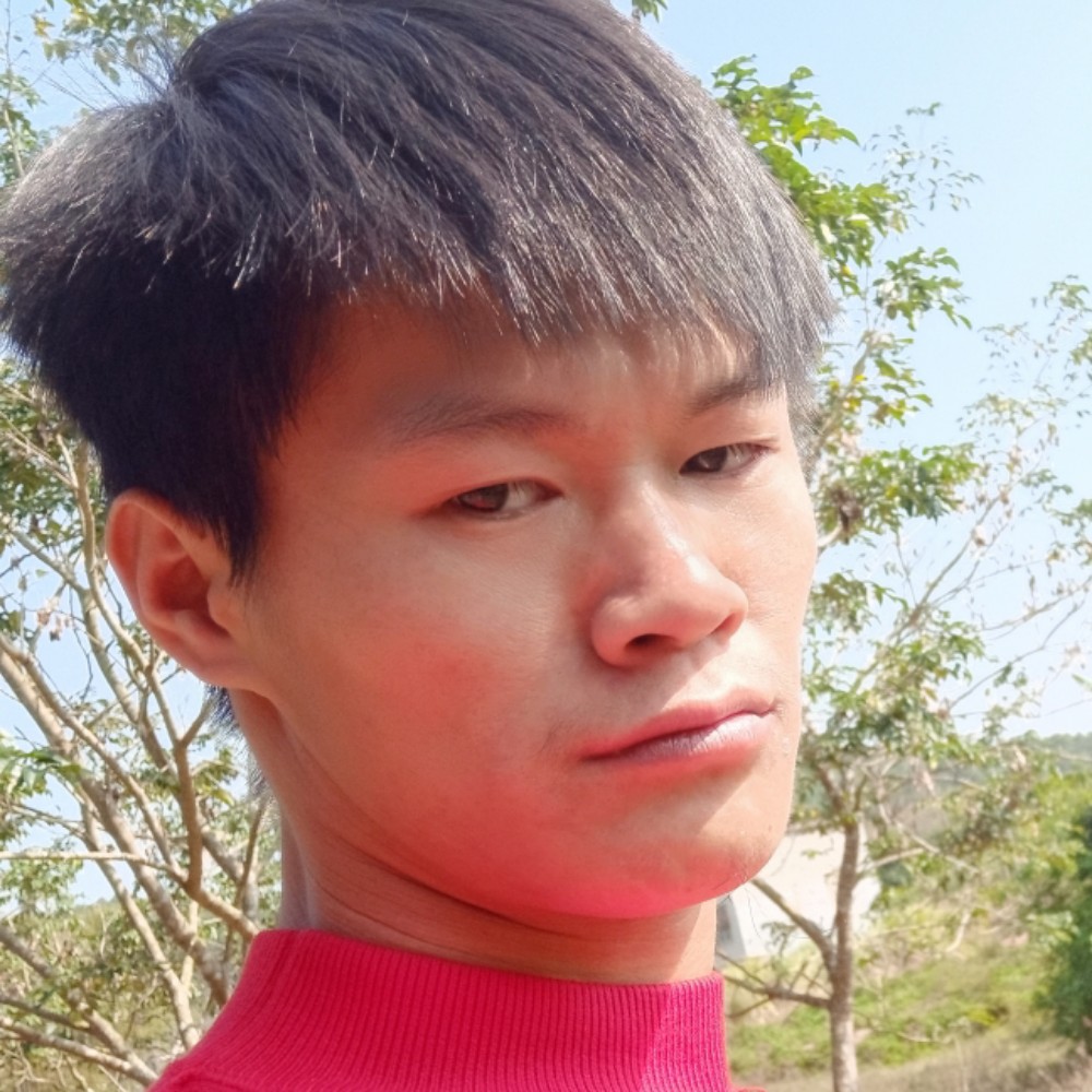 曲奇等于聪明的照片