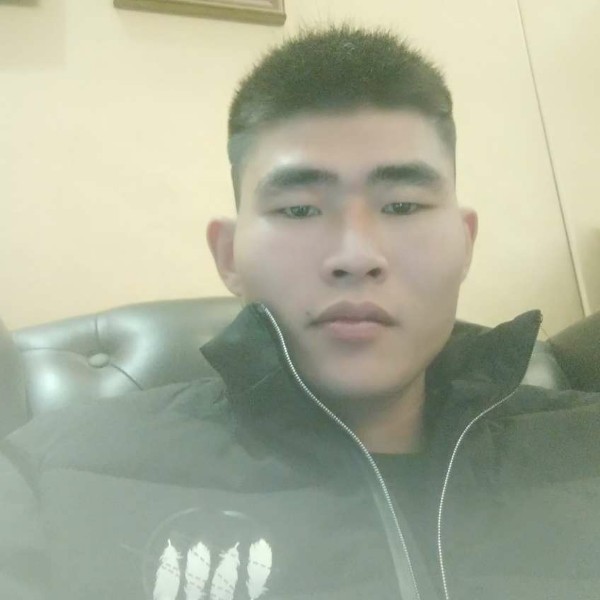 黑夜里的孤狼的照片