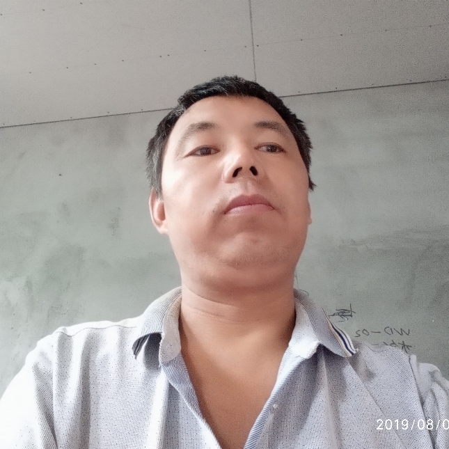 大雪分飞的照片