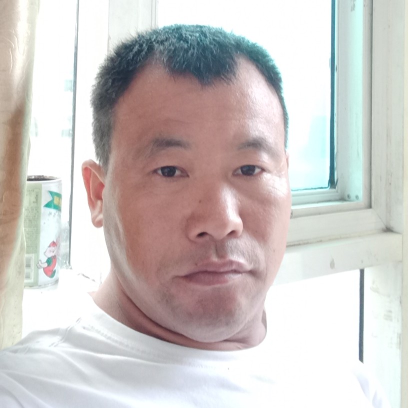 金毛英俊的照片