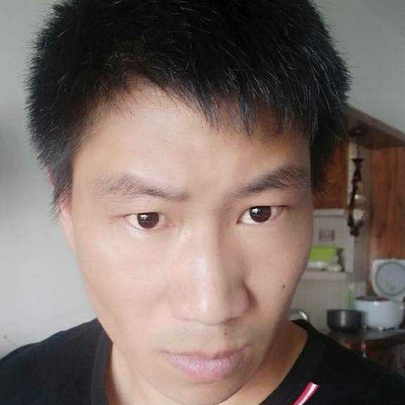 骑乌龟追宝马。的照片