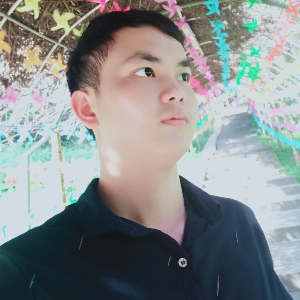 林间初阳的照片