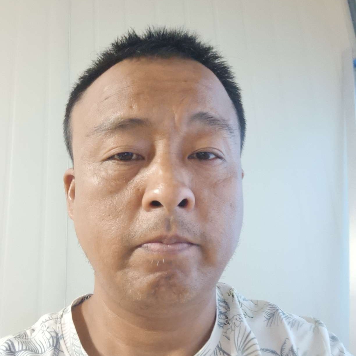 羊漫步细心的照片