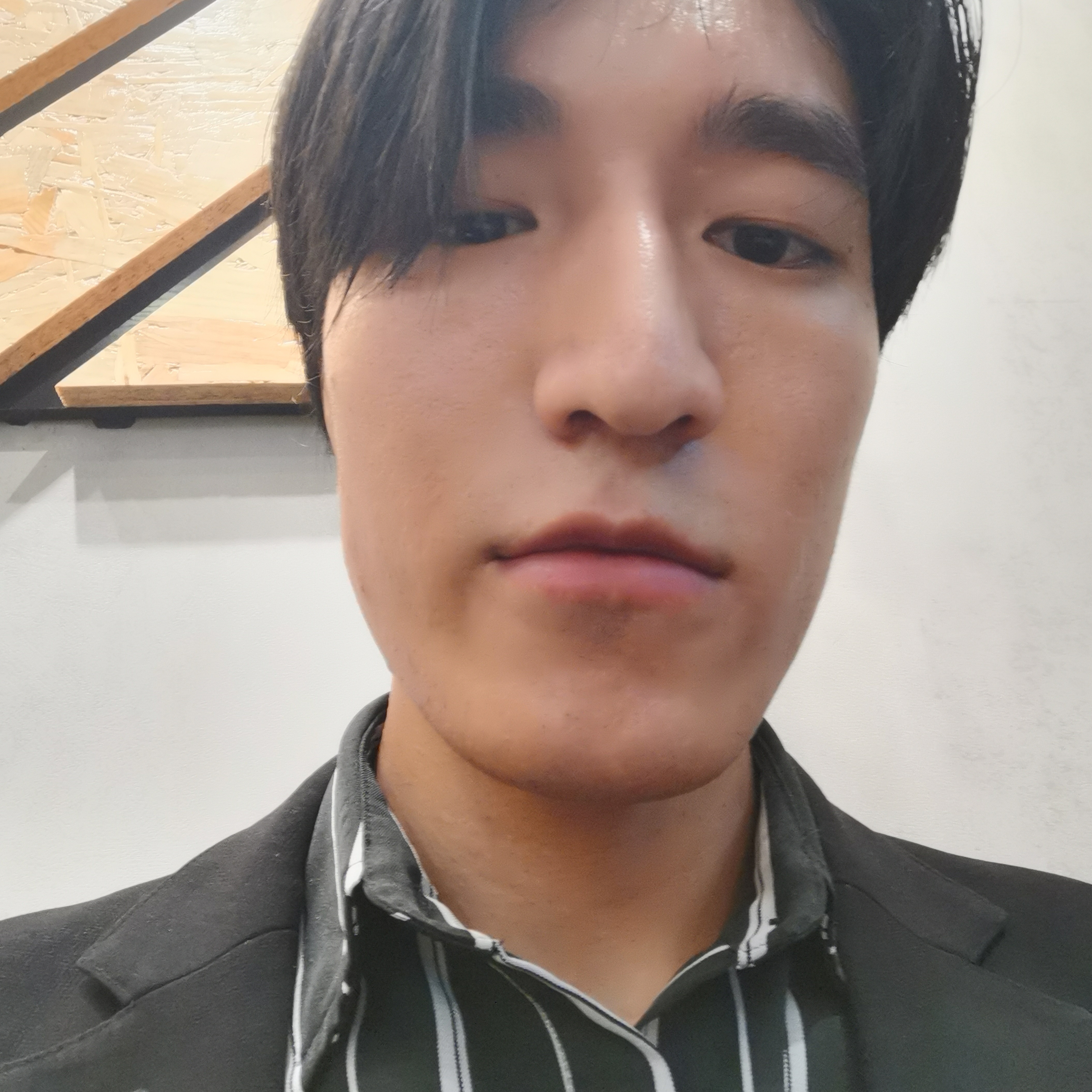 青花向明媚的照片