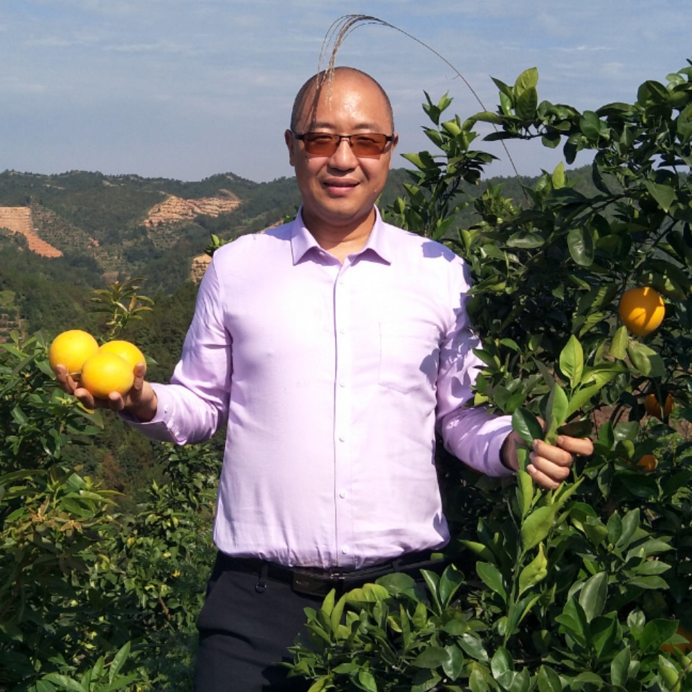 钢铁侠大方的照片