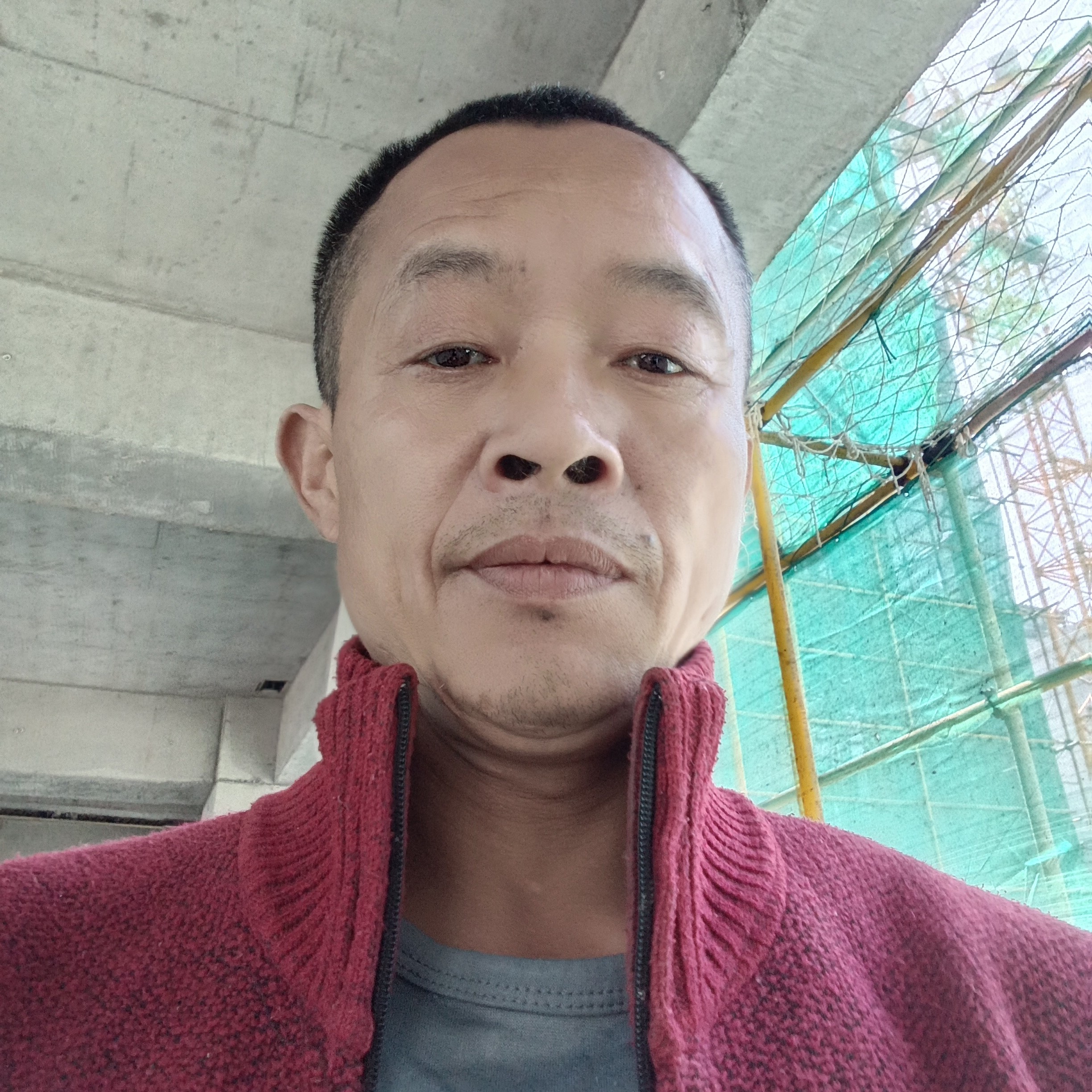 耍酷邂逅飞鸟的照片
