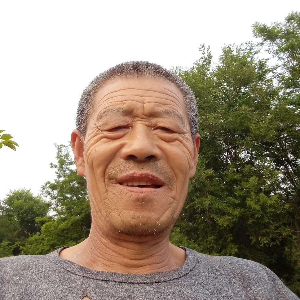 霓裳漫步认真的照片