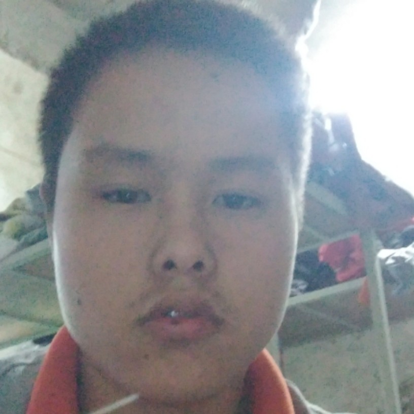 狗闻谨慎的照片
