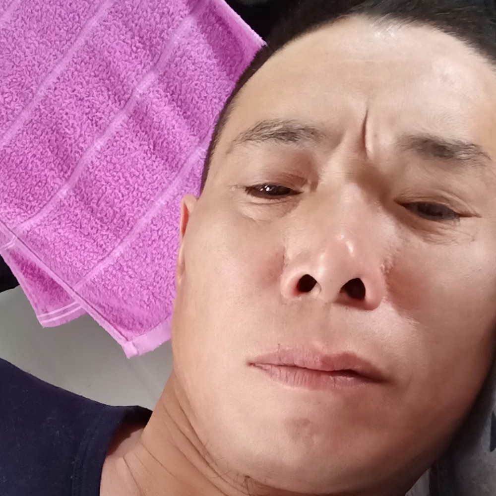 大象伶俐的照片
