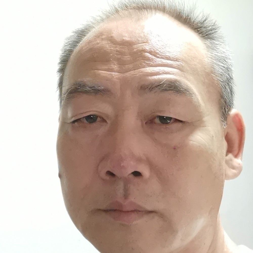 大雁漫步故意的照片
