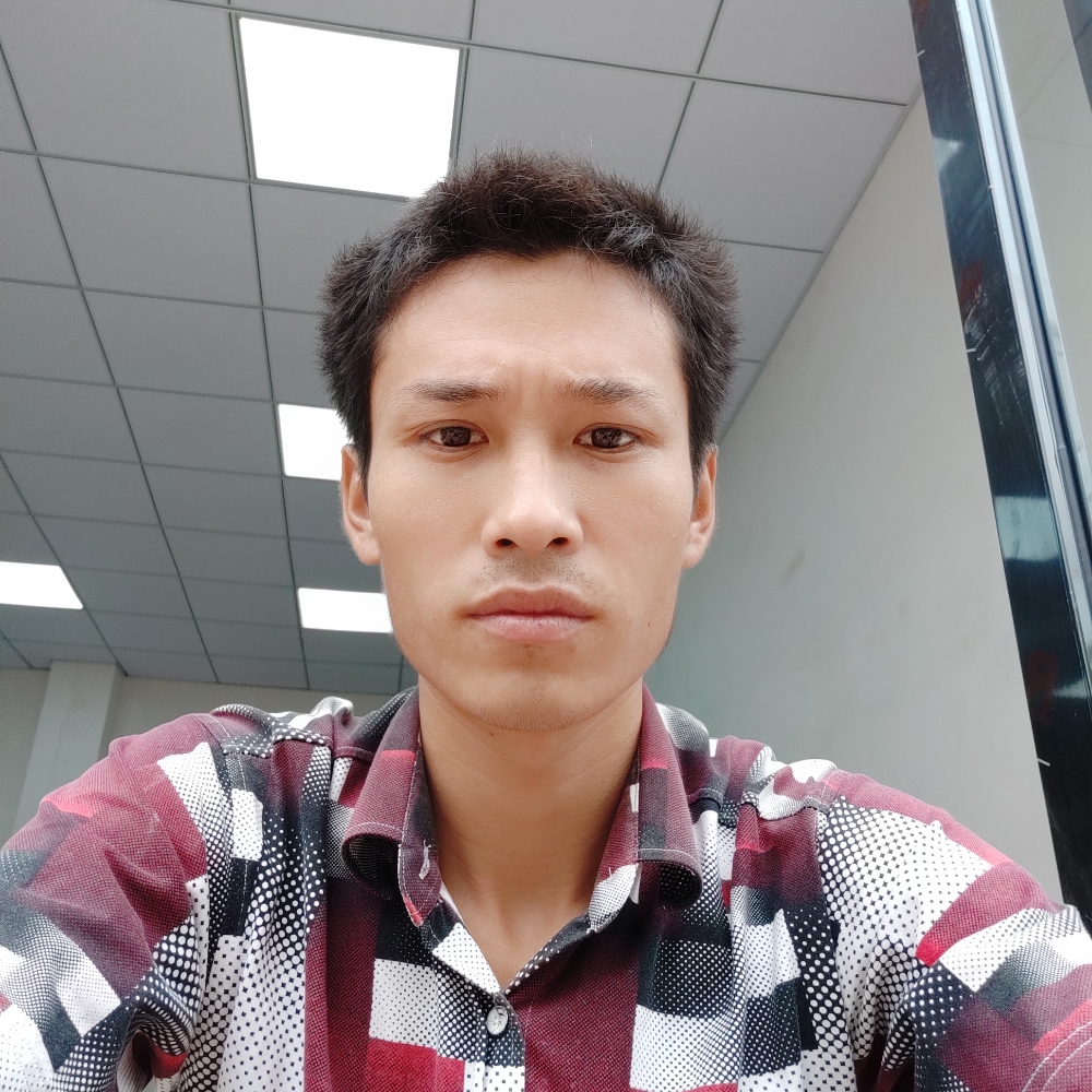 树叶外向的照片